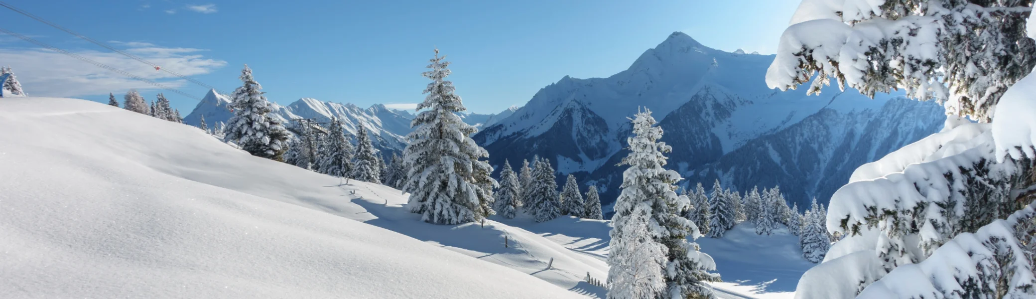 © Adobe Stock / by paul