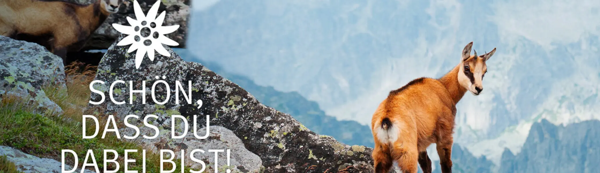 © DAV, Igor Stramyk