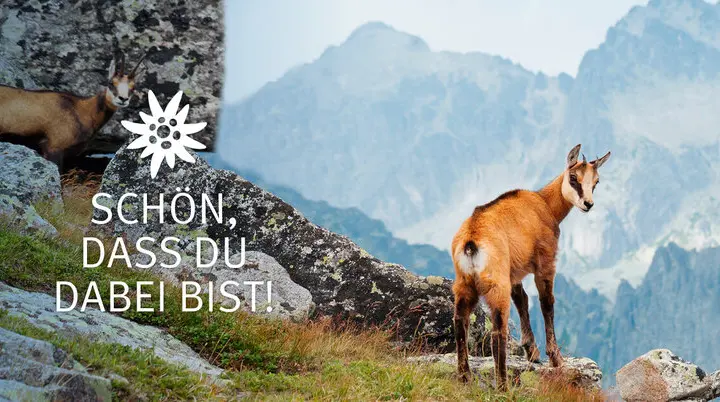 © DAV, Igor Stramyk