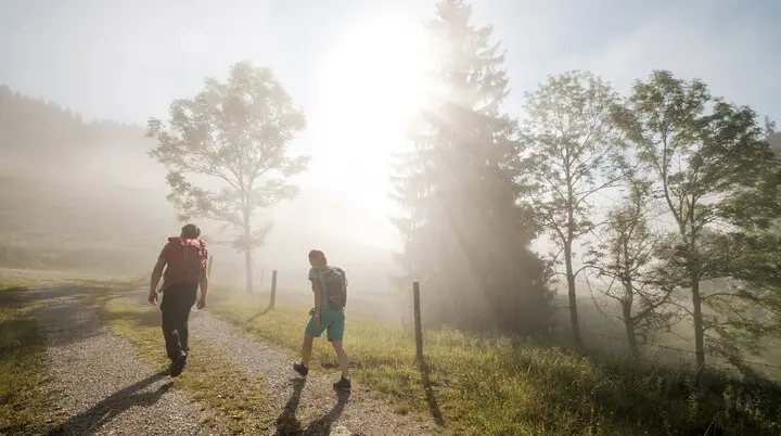 Gemeinsamer Aufstieg bei Sonnenaufgang - die Sonne scheint durch den Nebel | © DAV/Hans Herbig