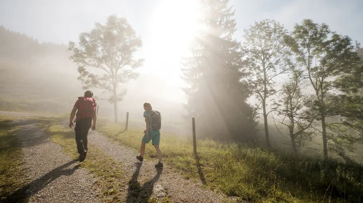 Gemeinsamer Aufstieg bei Sonnenaufgang - die Sonne scheint durch den Nebel | © DAV/Hans Herbig